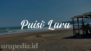 Puisi; Lara