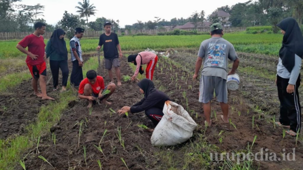 Keren! Pelajar NU Blitar Gelar Program JAHTERA Peroleh Apresiasi LAZISNU