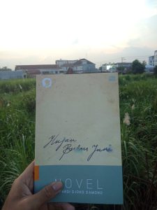 Resensi Buku Hujan Bulan Juni Karya Sapardi Djoko Damono