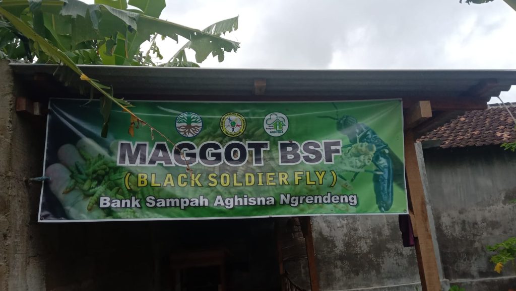Selain Ampuh Kurangi Sampah Organik, Budidaya Maggot BSF Juga Bisa Dijual