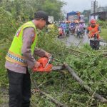 Urupedia Pohon Tumbang Ganggu Jalan Utama Trenggalek-Tulungagung