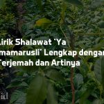 Lirik Shalawat 'Ya Imamarusli' Lengkap dengan Terjemah dan Artinya