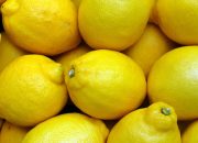 3 Manfaat Kandungan Nutrisi Lemon Buat Kesehatan, Salah Satunya Cocok untuk Diet!