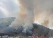 Update Kebakaran di Bukit Teletubbies Bromo, Meluas Hingga 274 Hektar!