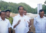 Jokowi: Upaya Capai Kedaulatan Pangan dengan Pengembangan Industri Papua