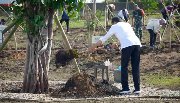 Perubahan Iklim, Presiden Ingin Gerakan Penghijauan dan Penanaman Pohon