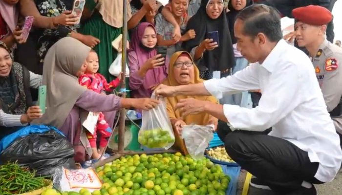 Presiden Cek Kondisi Bahan Pokok, Tekankan Revitalisasi