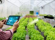 Bukan Sekadar Trend, Gen Z dan Revolusi Hijau