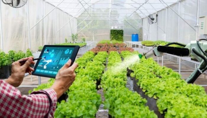 Bukan Sekadar Trend, Gen Z dan Revolusi Hijau