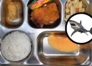 Menakar Kritik Kebijakan Makan Bergizi Gratis (MBG)