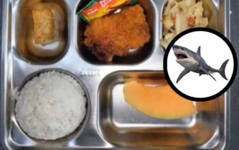 Menakar Kritik Kebijakan Makan Bergizi Gratis (MBG)
