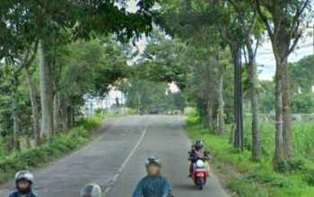 Pemkab Tulungagung Abai Penerangan Jalan Jatimulyo–Bungur, Terus Makan Korban