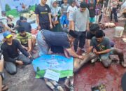 Merawat Jakarta dengan Kepedulian: Kolaborasi PW Matahari Pagi DKI Jakarta dan Dana Mustadhafin Salurkan Sapi Kurban Pasar Jaya